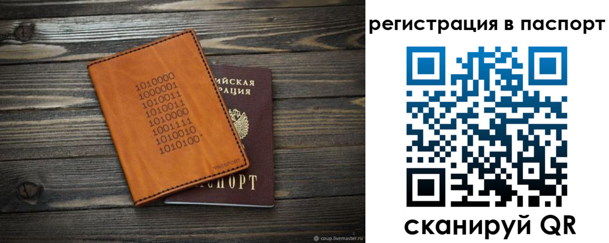 прописка для школы в Светлограде